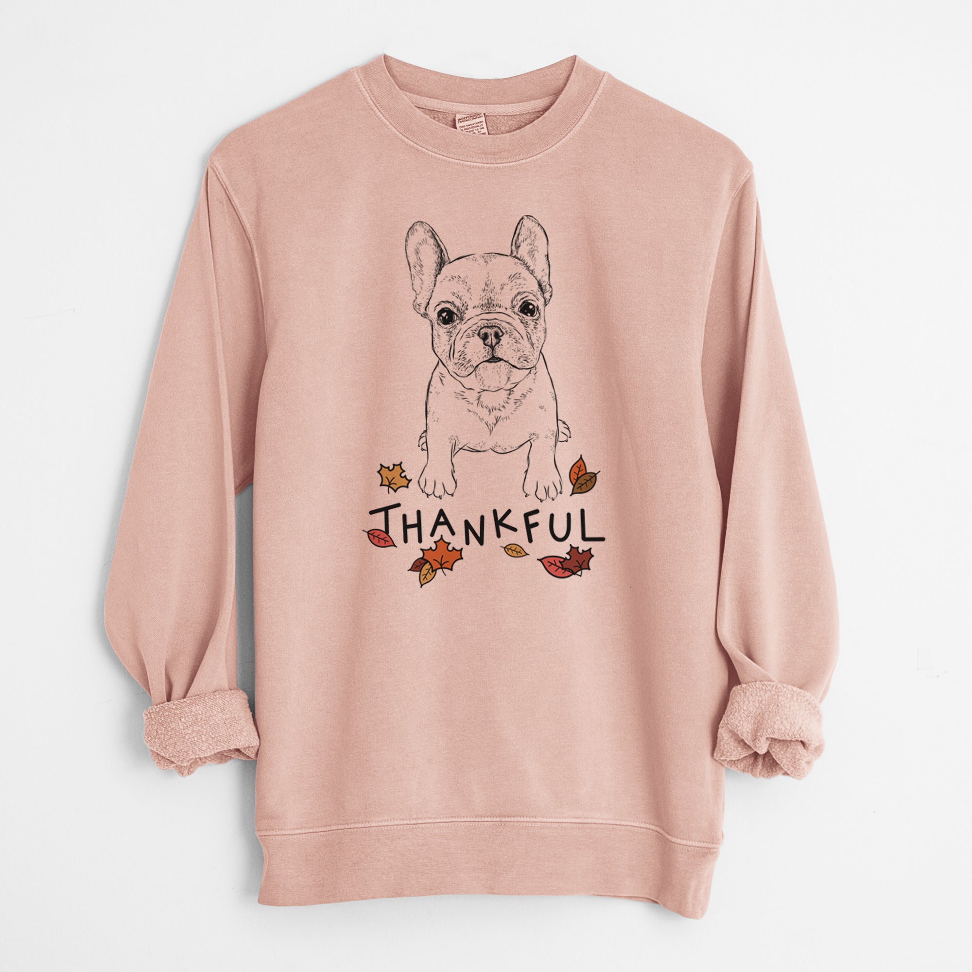 Thankful Puppy Pierre the French Bulldog - Unisex Pigment Dyed Crew Sweatshirt