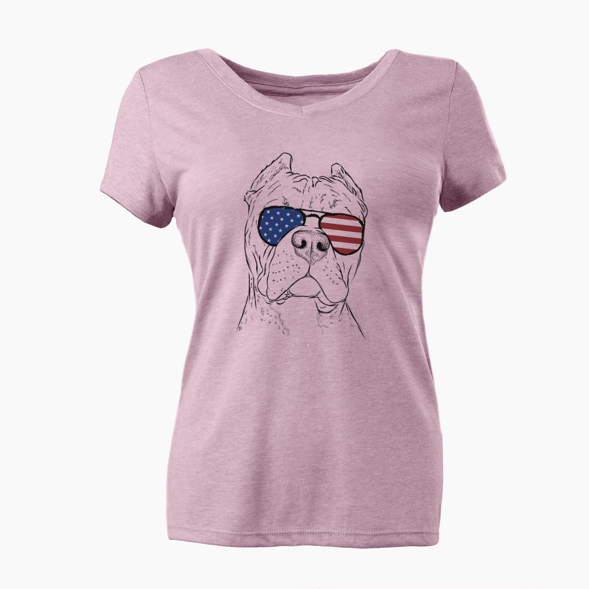 USA Bam Bam the Pitbull - Women's Perfect V-neck Shirt