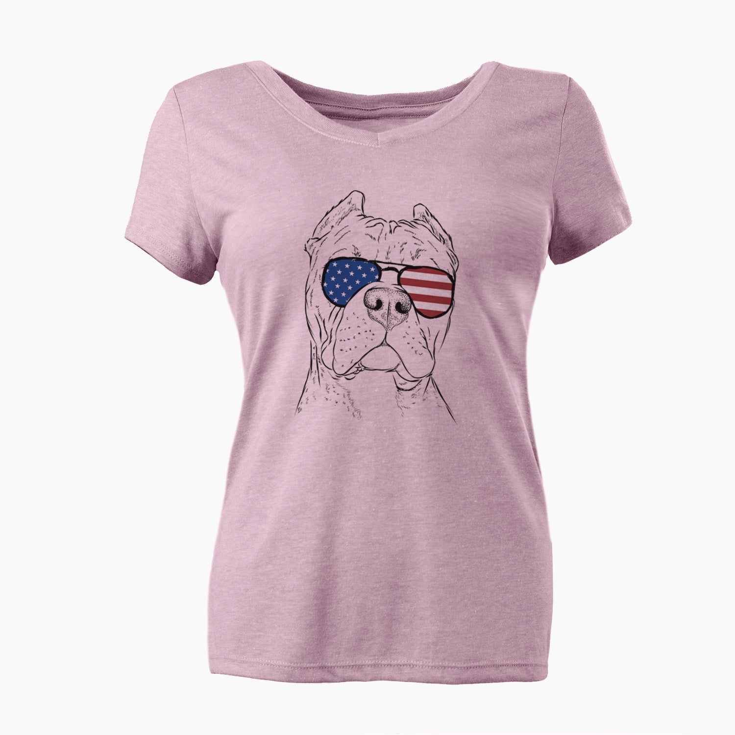 USA Bam Bam the Pitbull - Women's Perfect V-neck Shirt