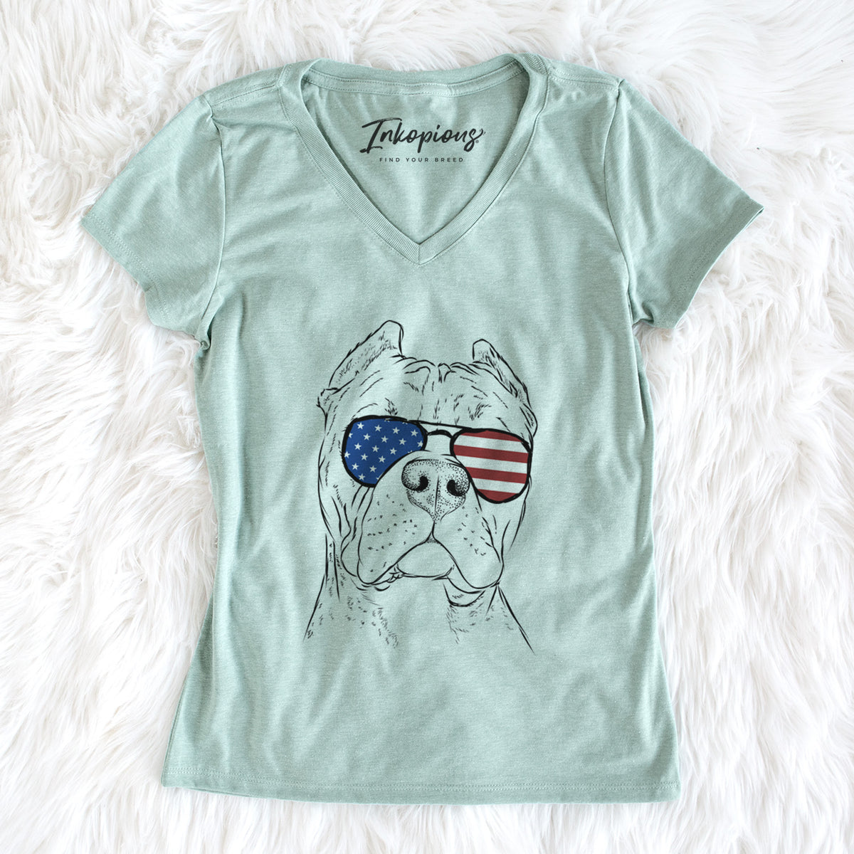 USA Bam Bam the Pitbull - Women's Perfect V-neck Shirt