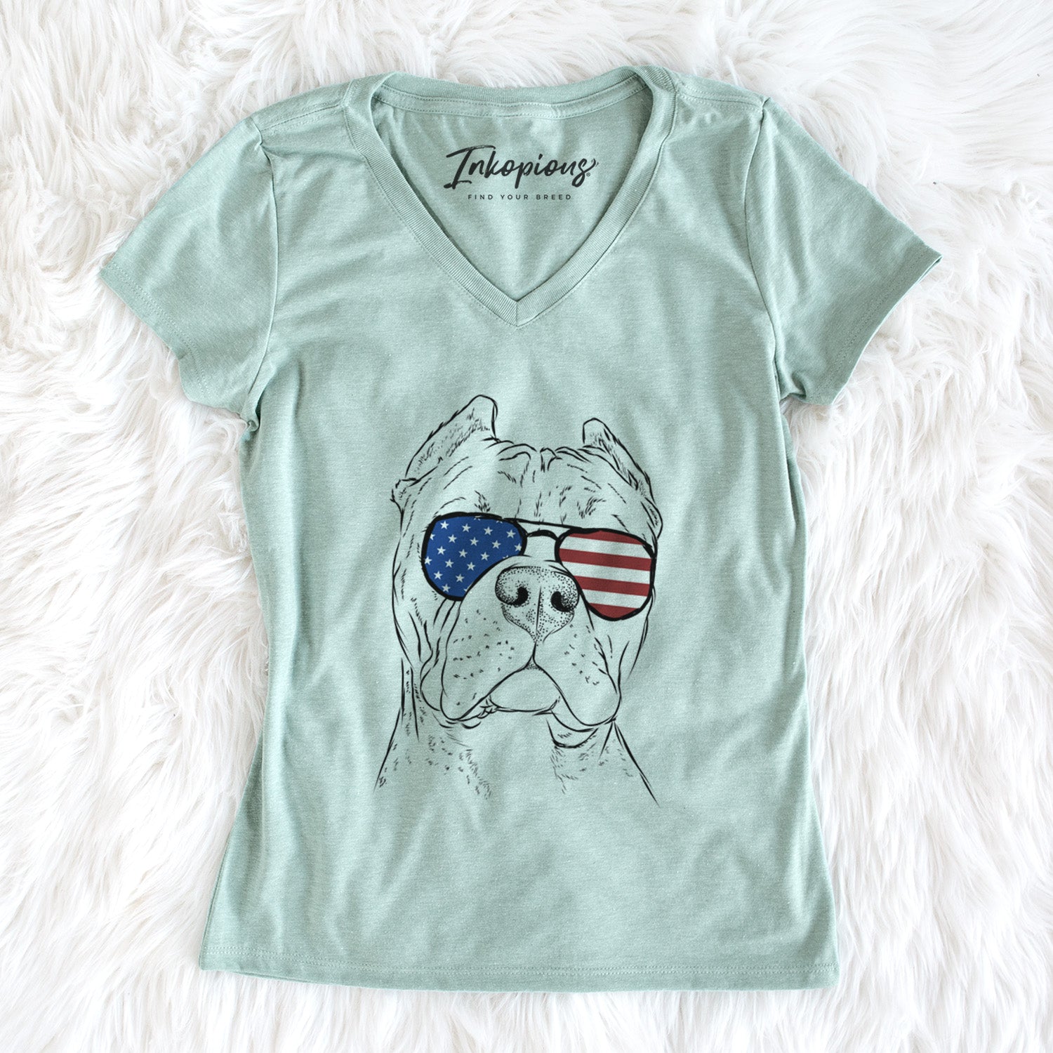 USA Bam Bam the Pitbull - Women's Perfect V-neck Shirt