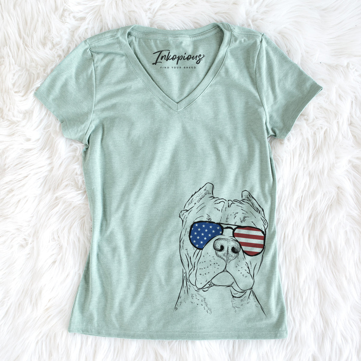 USA Bam Bam the Pitbull - Women's Perfect V-neck Shirt