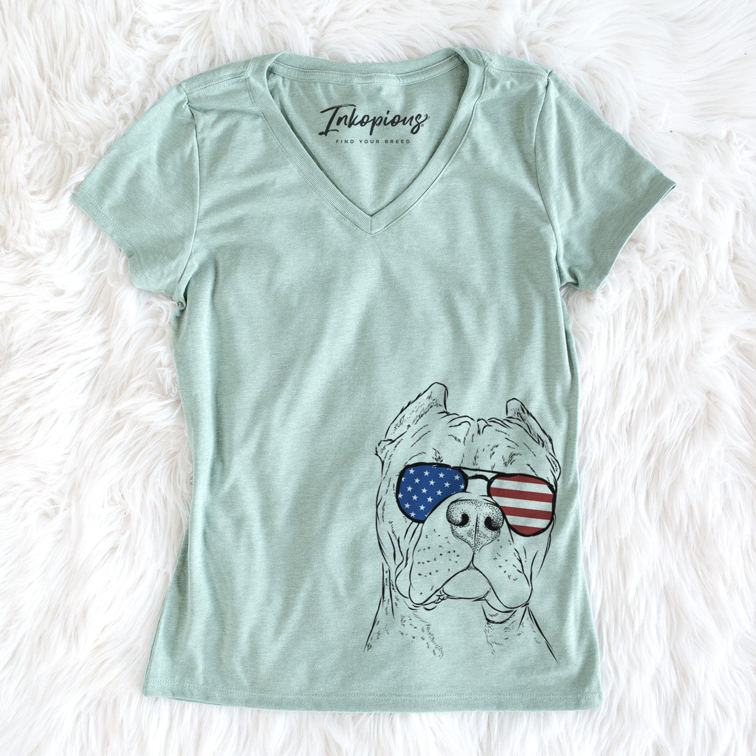 USA Bam Bam the Pitbull - Women's Perfect V-neck Shirt