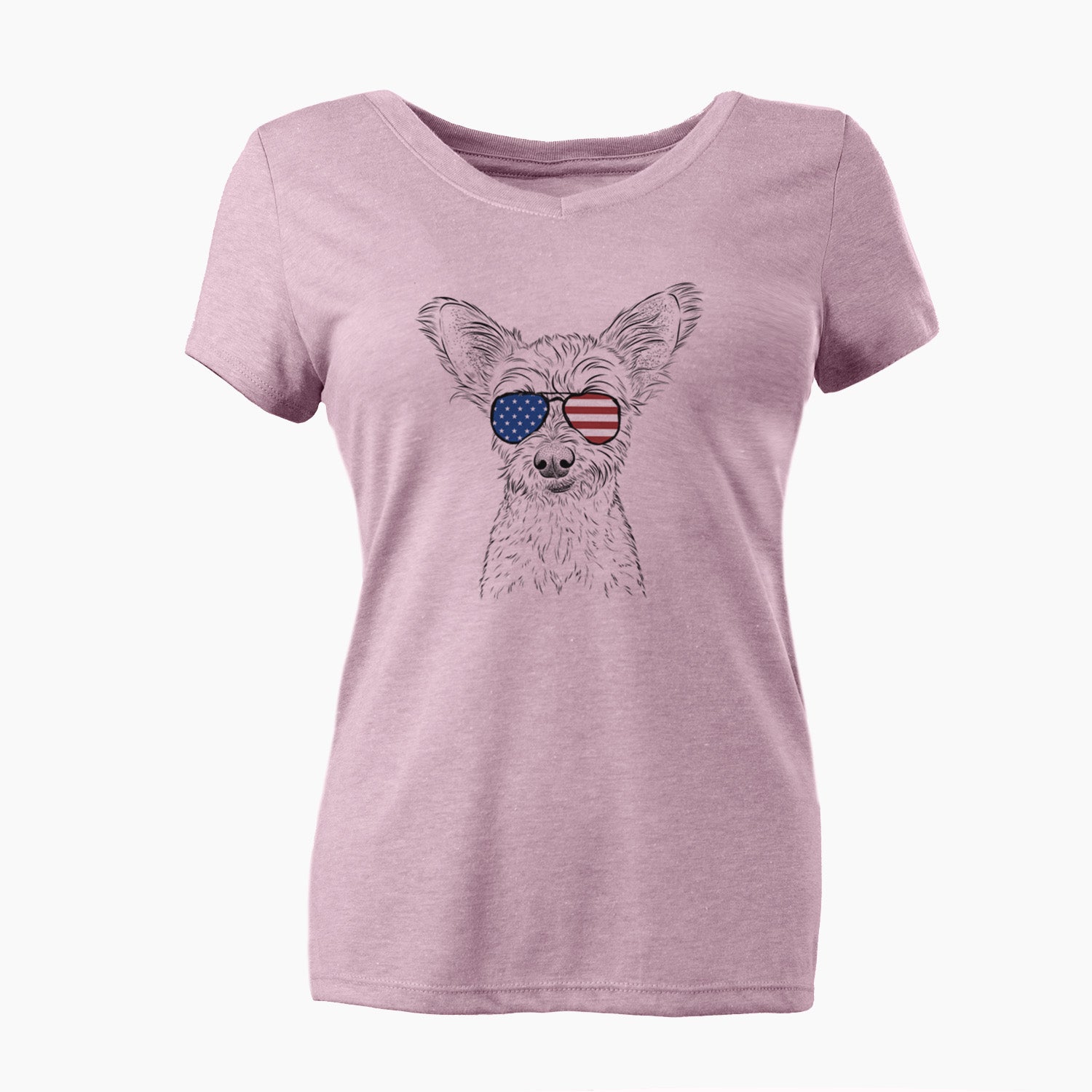 USA Heidi the Schnauzer Mix - Women's Perfect V-neck Shirt