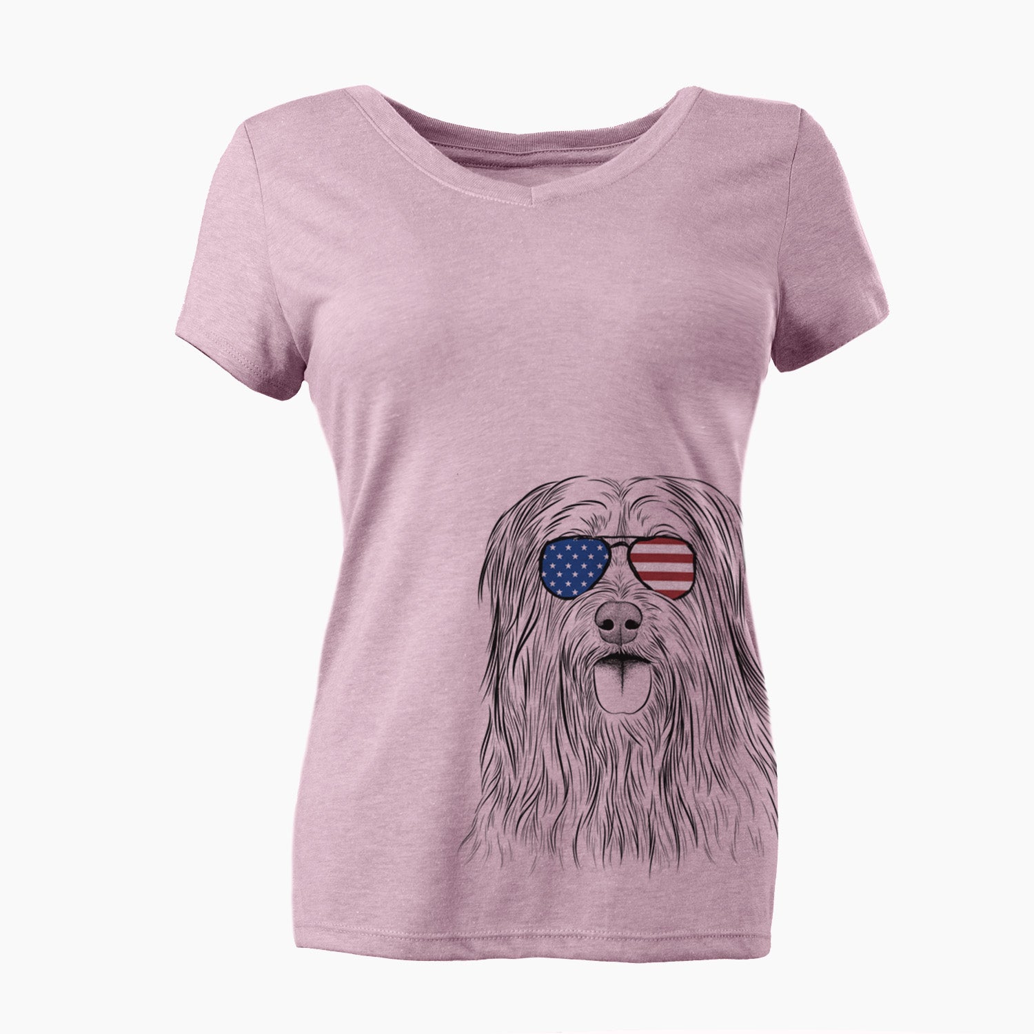 USA Indy the Korean Sapsali - Women's Perfect V-neck Shirt