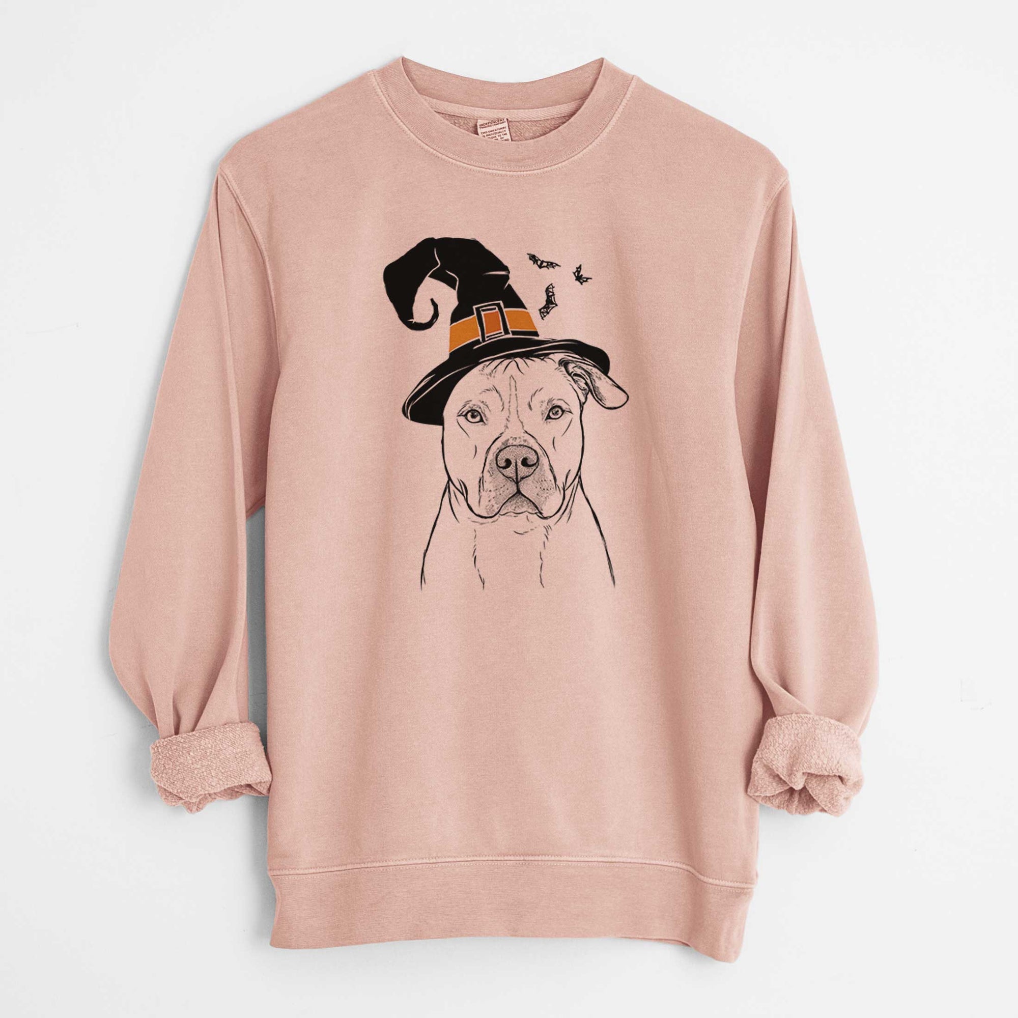 Witch Teddy Jam the Pitbull - Unisex Pigment Dyed Crew Sweatshirt