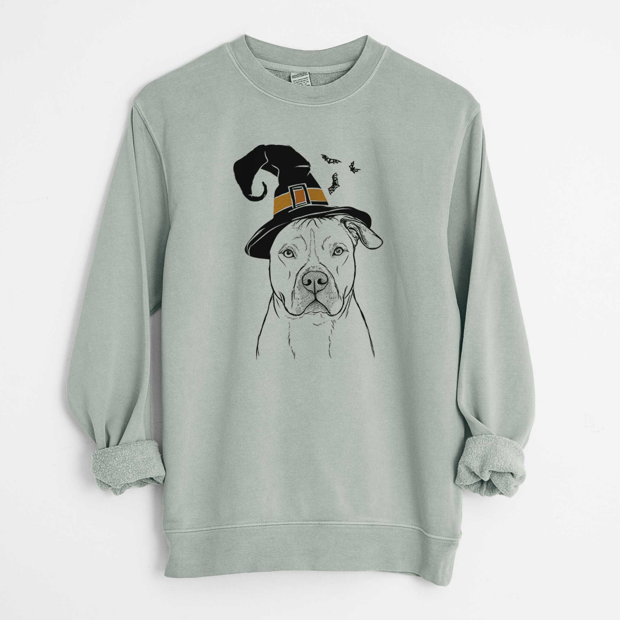 Witch Teddy Jam the Pitbull - Unisex Pigment Dyed Crew Sweatshirt