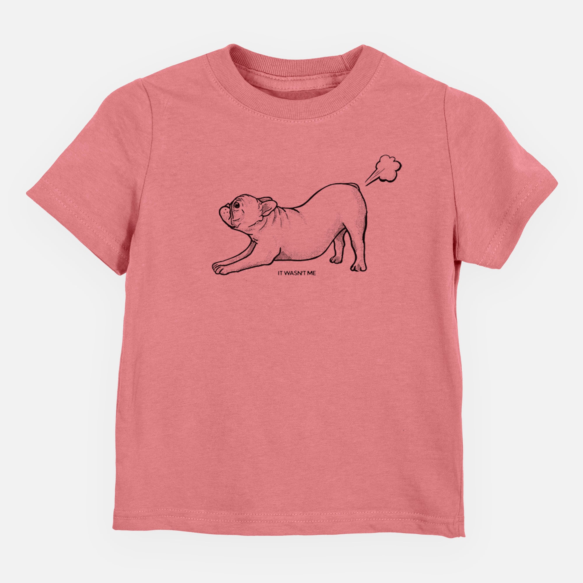 It Wasn't Me — French Bulldog - Kids/Youth/Toddler Shirt