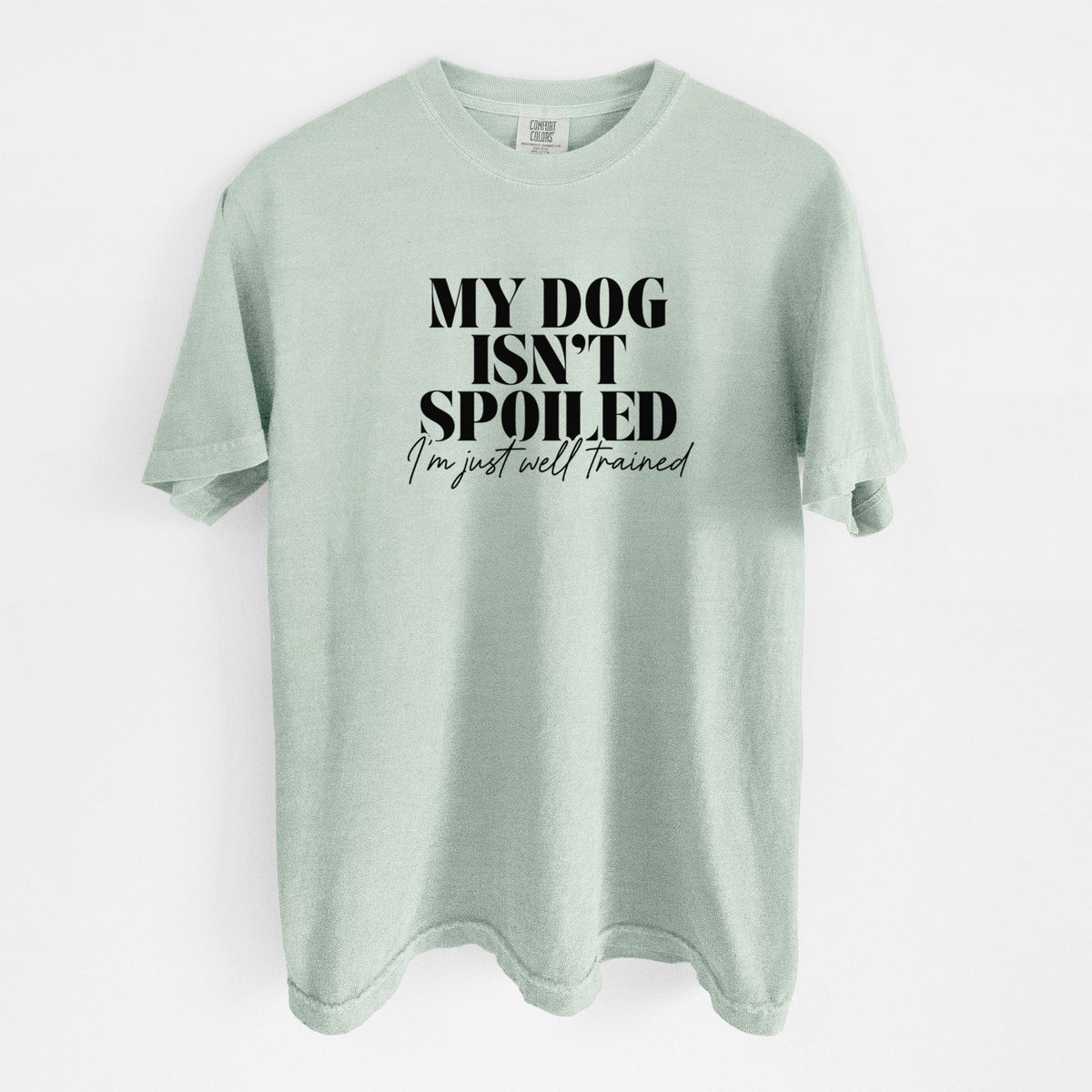 My Dog Isn't Spoiled I'm Just Well Trained - Unisex Comfort Colors Garment-Dyed Heavyweight T-shirt in Bay