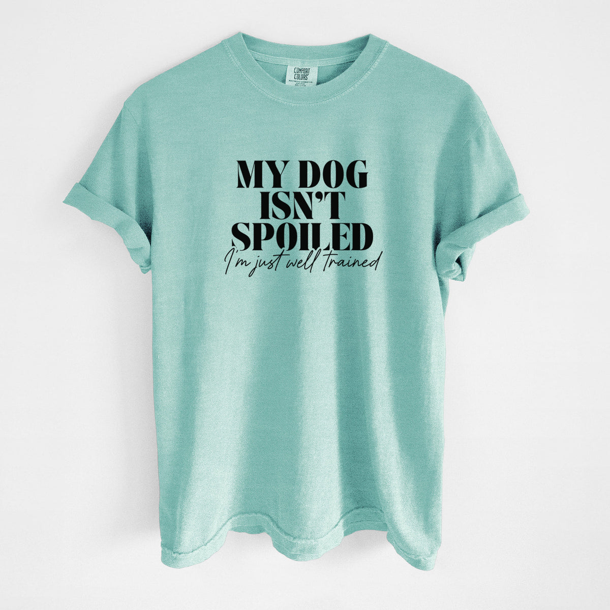 My Dog Isn't Spoiled I'm Just Well Trained - Unisex Comfort Colors Garment-Dyed Heavyweight T-shirt in Chalky Mint