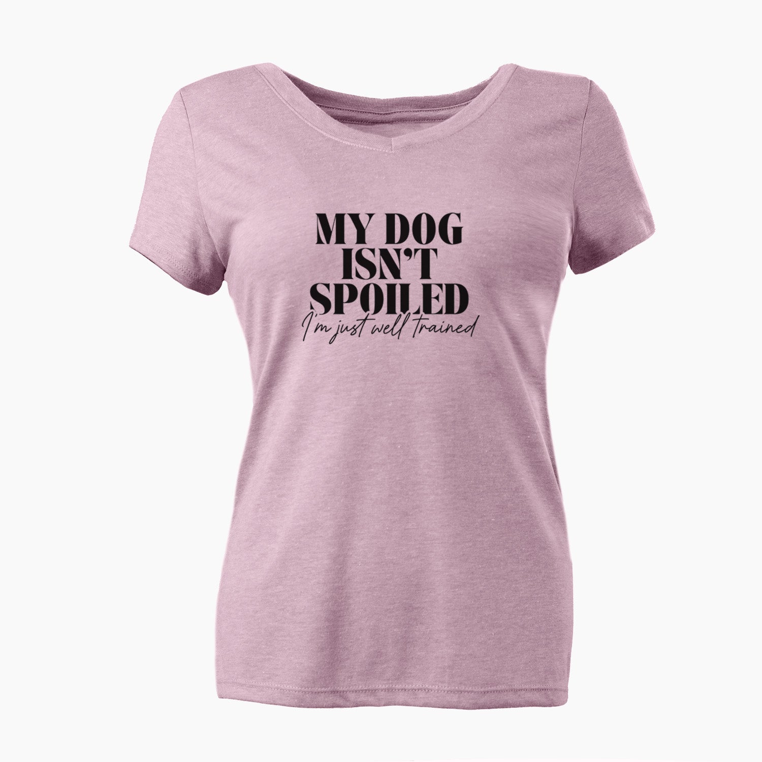 My Dog Isn't Spoiled I'm Just Well Trained - Women's Perfect V-neck Shirt