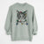 Christmas Lights Hobbes the Tabby Cat - Unisex Pigment Dyed Crew Sweatshirt