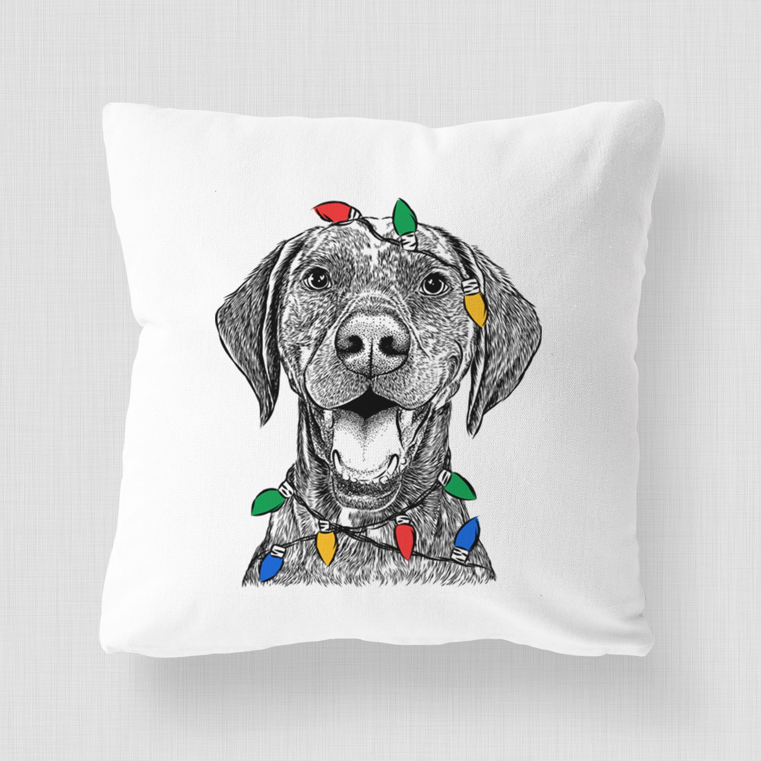 Hudson the German Shorthaired Pointer - Throw Pillow Cover