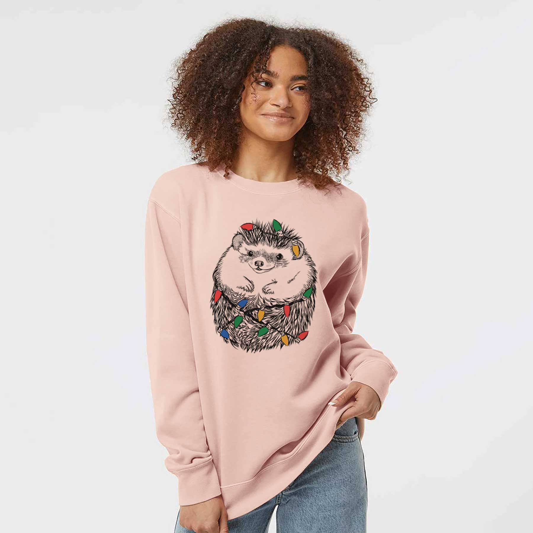 Christmas Lights Sid the Hedgehog - Unisex Pigment Dyed Crew Sweatshirt