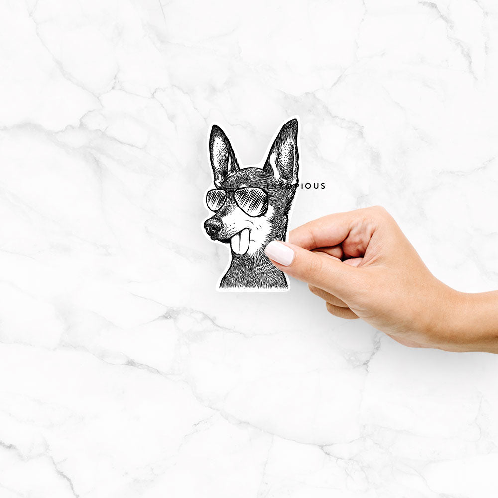 Aaron the Chihuahua - Decal Sticker