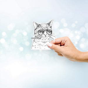 Dexter the Domestic Shorthair Cat - Decal Sticker