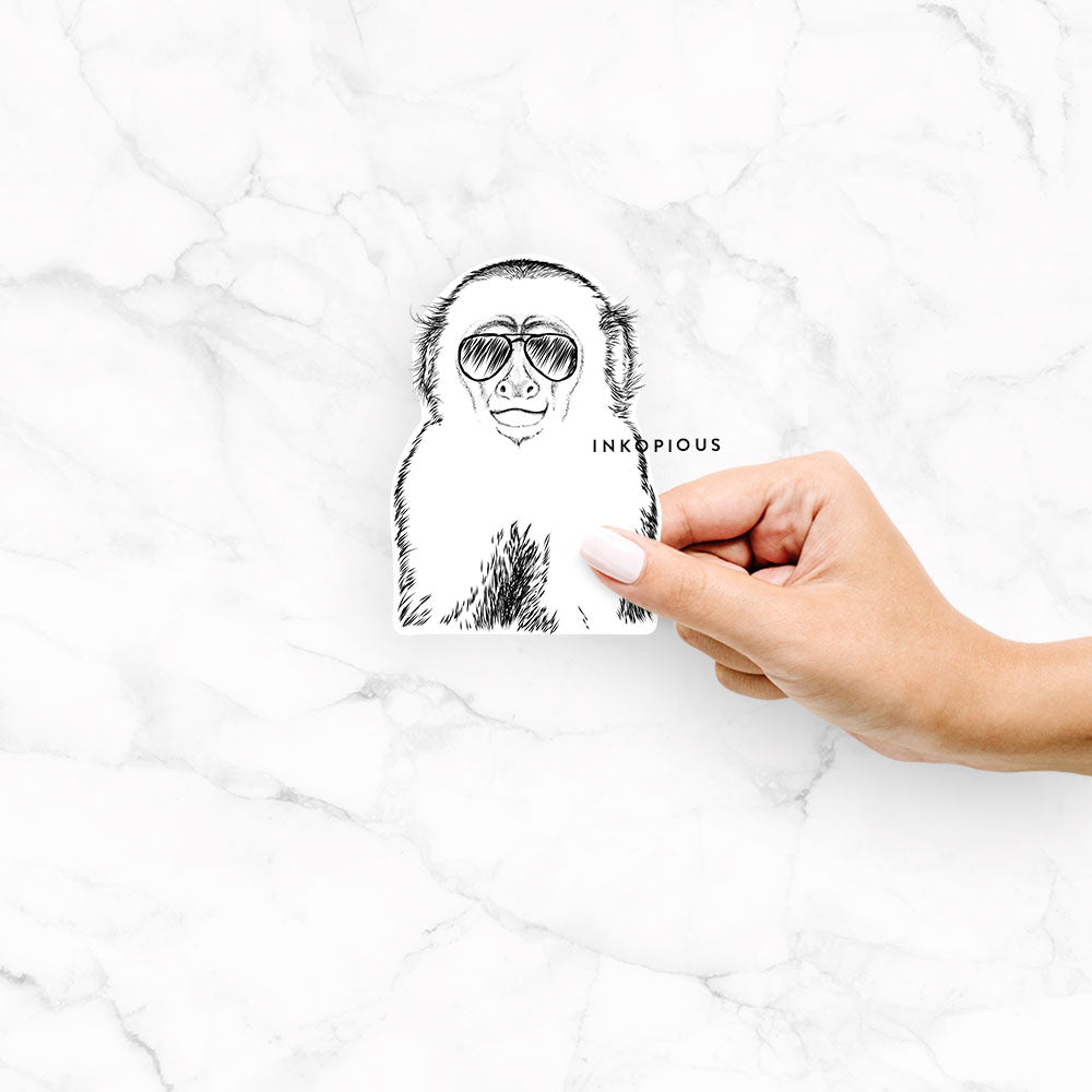 Marcel the Capuchin Monkey - Decal Sticker