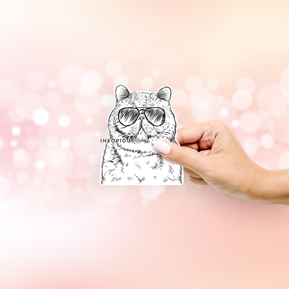 Squish the Exotic Shorthair Cat - Decal Sticker