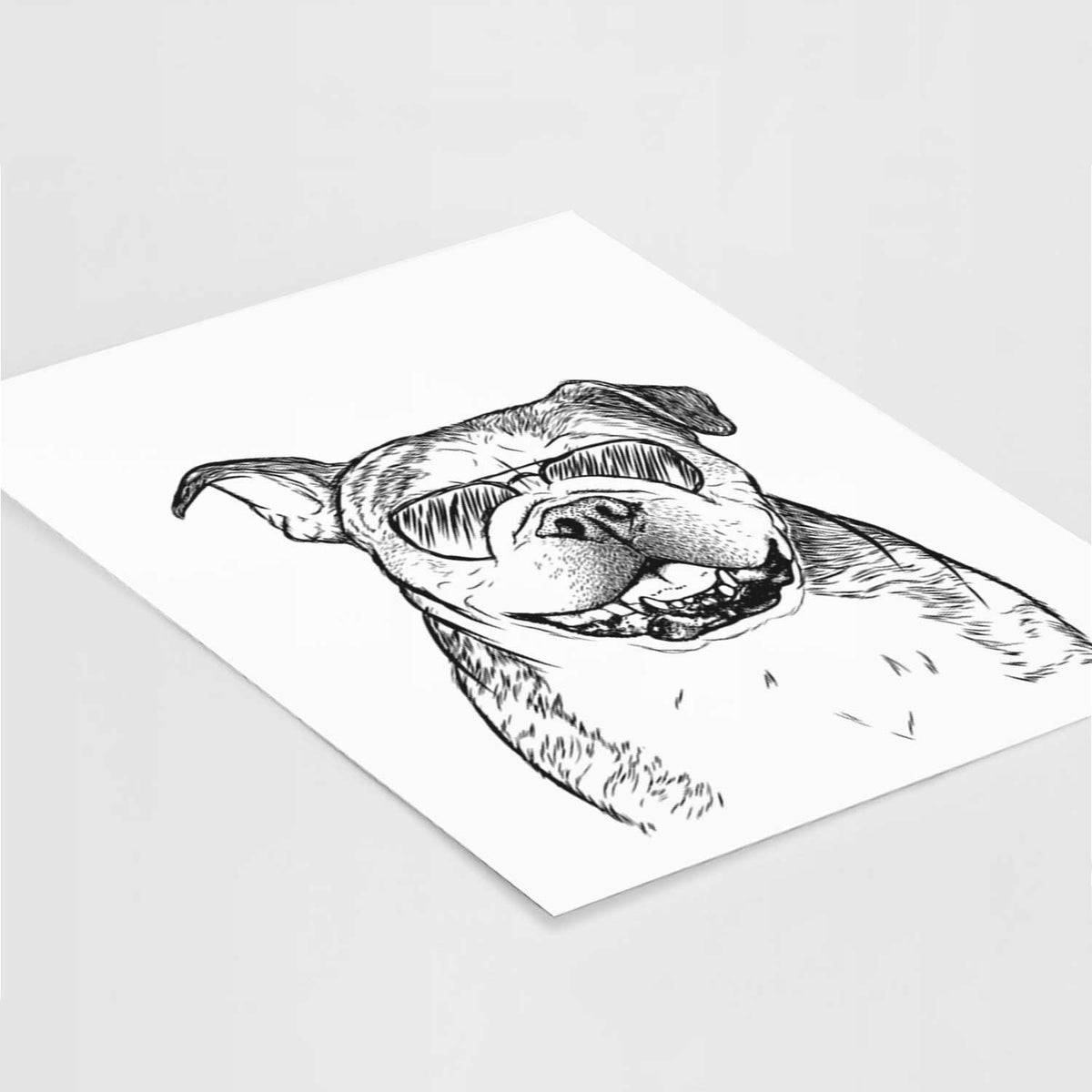 Agatha the Boston Bulldog Art Print