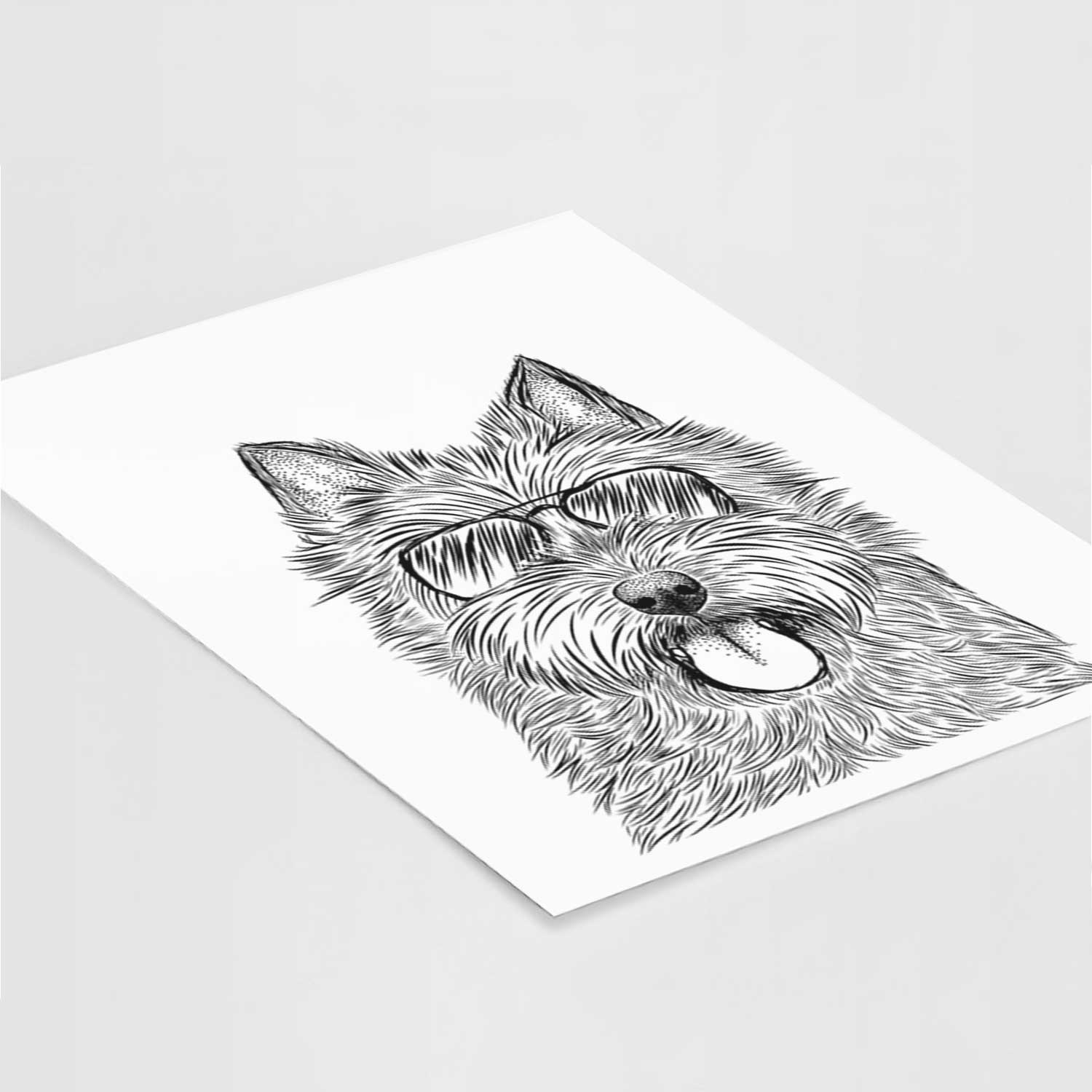 Alfie the Norwich Terrier Art Print