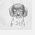 Almond the Wirehaired Dachshund Decorative Hand Towel