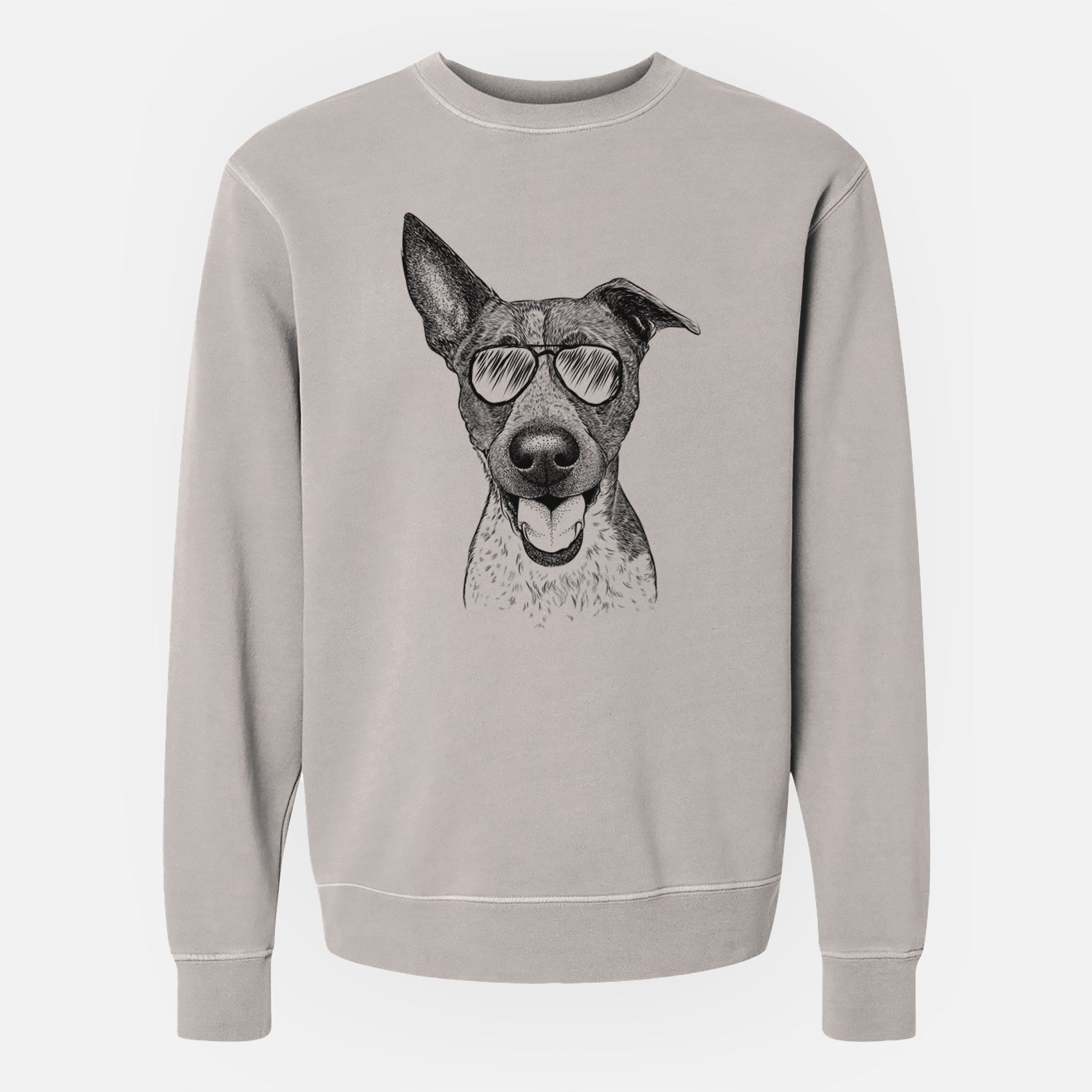 Aviator Amigo the Heeler Mix - Unisex Pigment Dyed Crew Sweatshirt