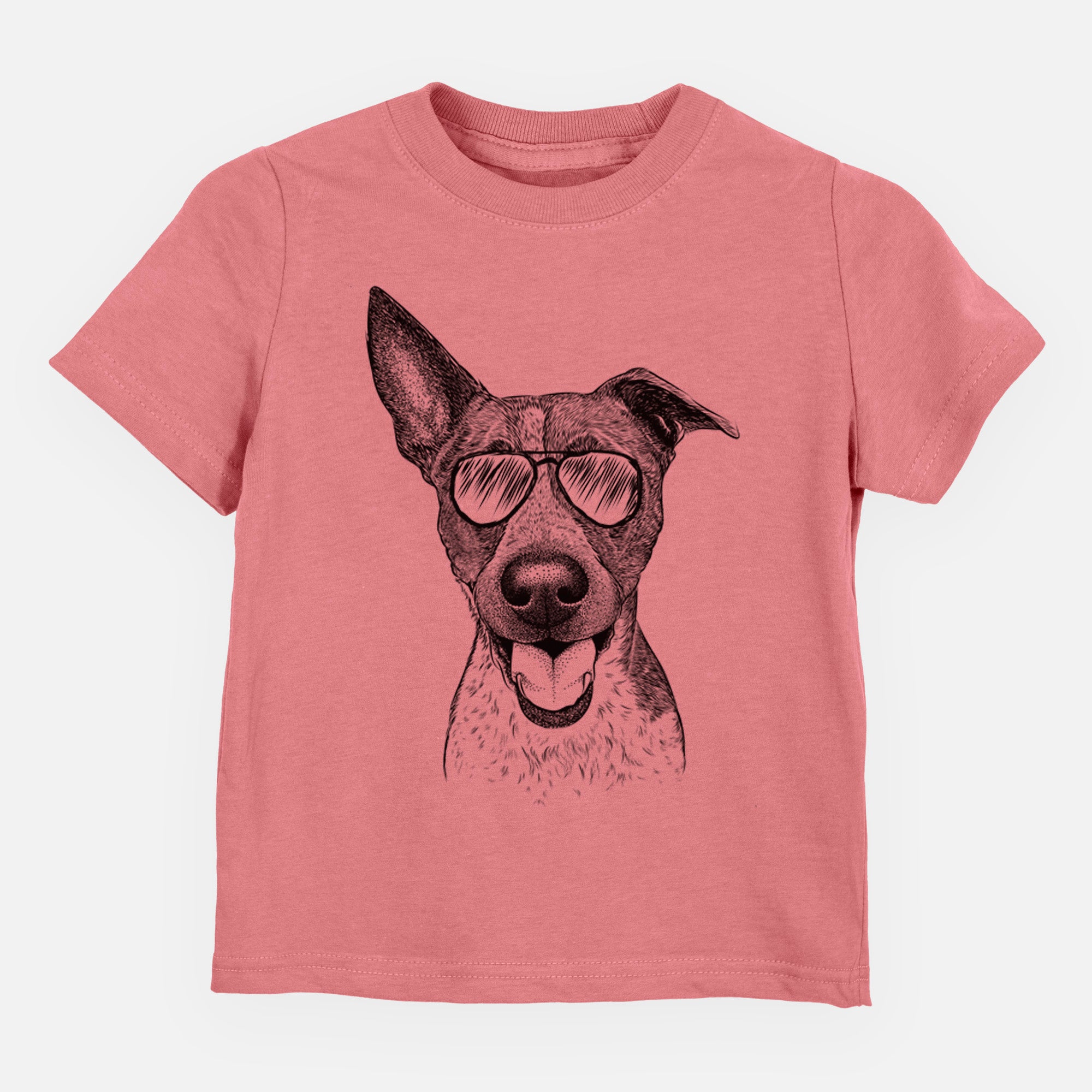 Aviator Amigo the Heeler Mix - Kids/Youth/Toddler Shirt