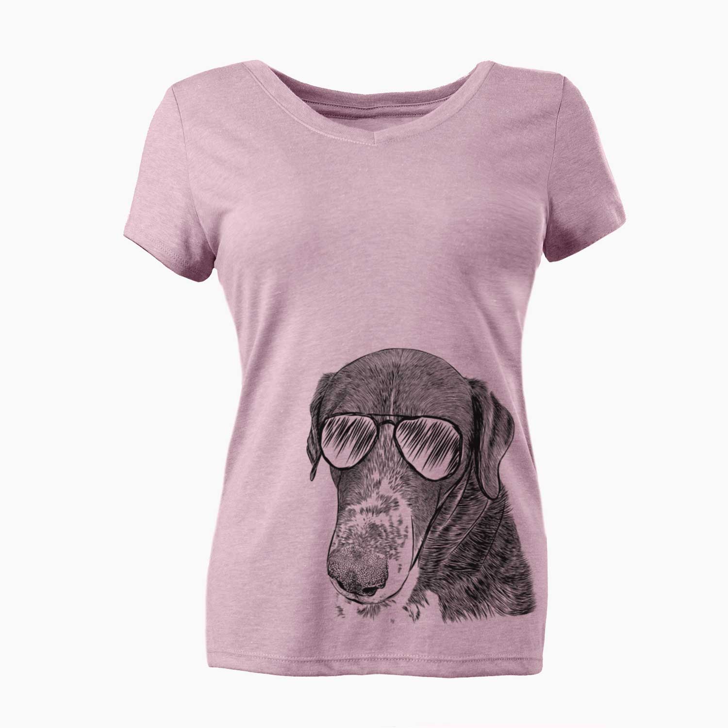 Aviator Angel Orion the Mixed Breed - Women's V-neck Shirt