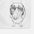 Annabelle the Dachshund Decorative Hand Towel