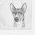 Anubis the Alaskan Husky Decorative Hand Towel