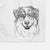 Aonghus the Australian Shepherd Decorative Hand Towel