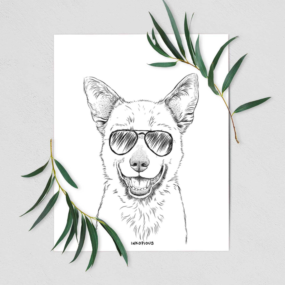 Arden the Australian Kelpie Art Print