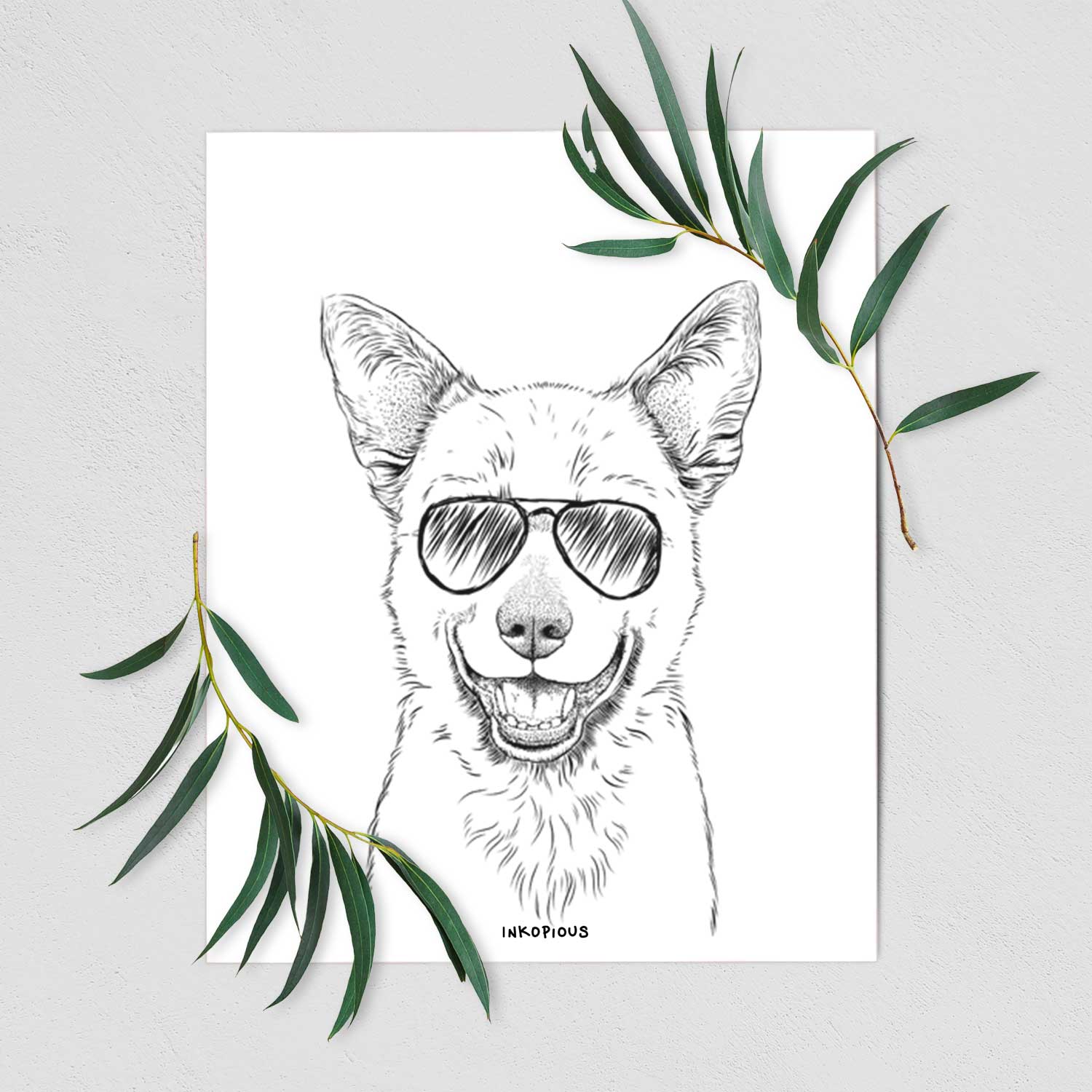 Arden the Australian Kelpie Art Print