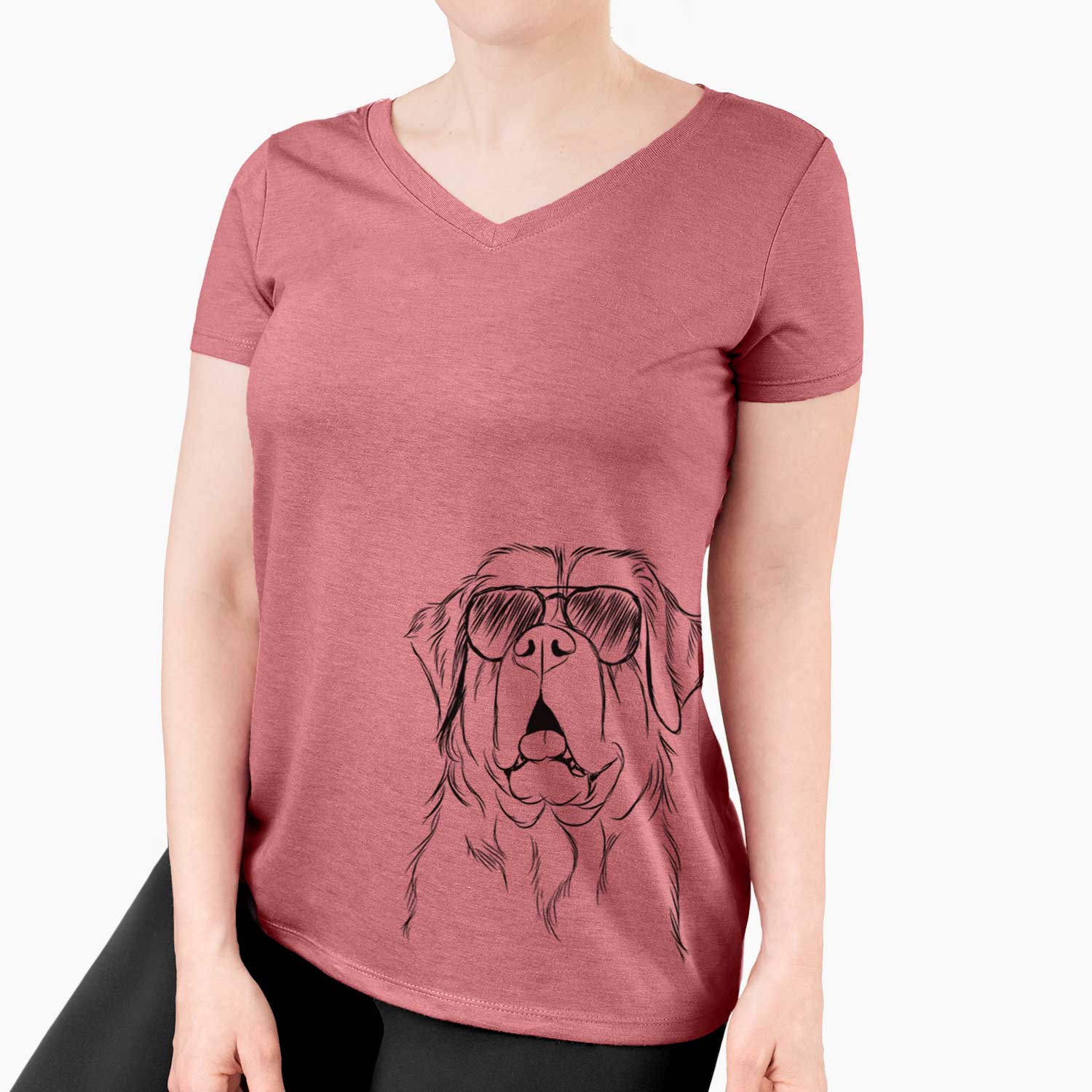 Aviator Atlas the Saint Bernard - Women's V-neck Shirt