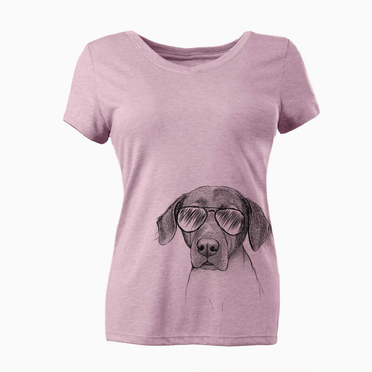Aviator Baldwin the Mixed Breed - Women's V-neck Shirt