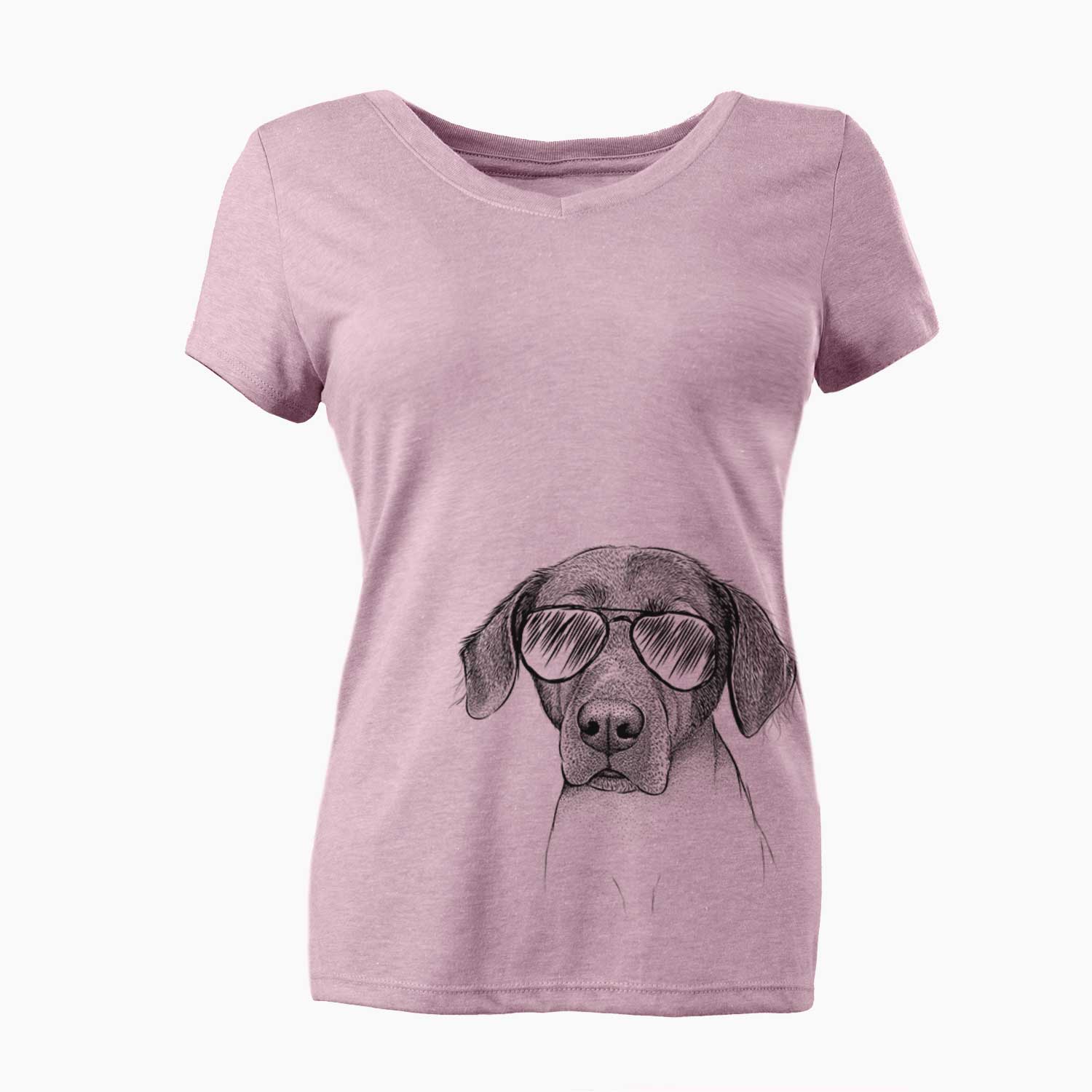 Aviator Baldwin the Mixed Breed - Women's V-neck Shirt
