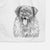 Bamboo the Leonberger Decorative Hand Towel