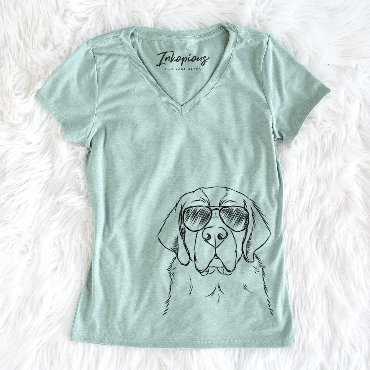 Barry the Saint Bernard - Women's V-neck Shirt