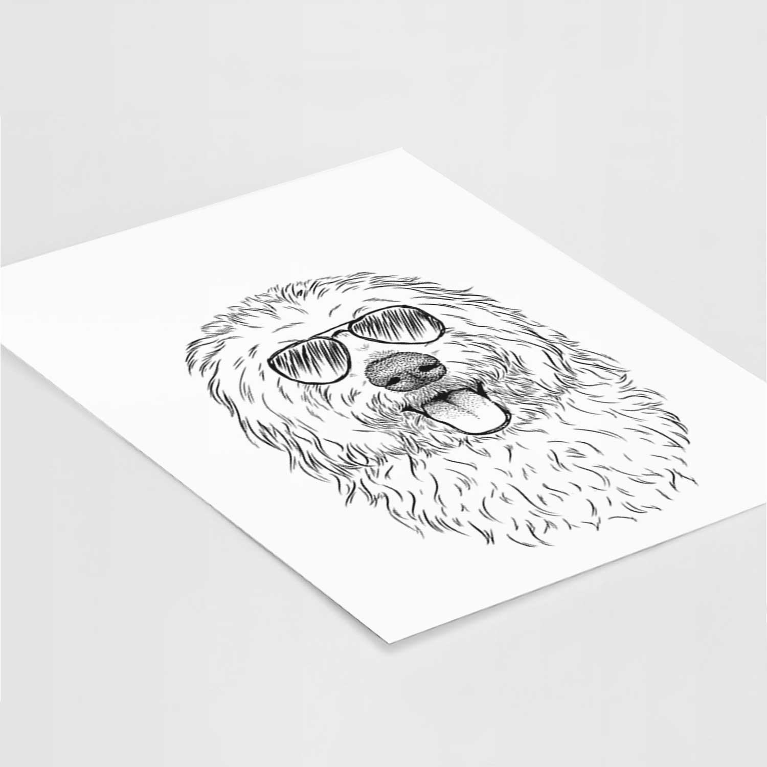 Barry the Old English Sheepdog Art Print