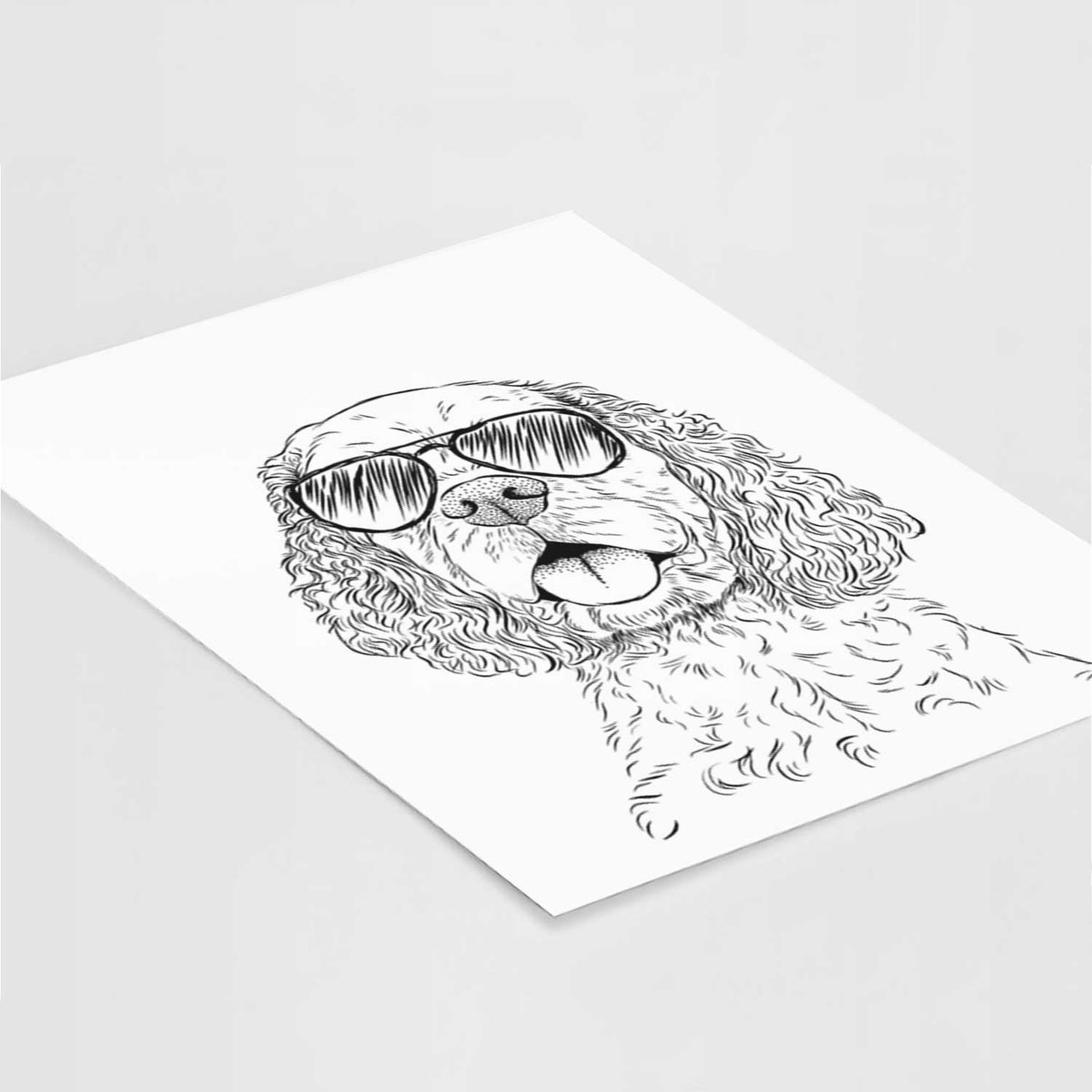 Baxter the American Cocker Spaniel Art Print