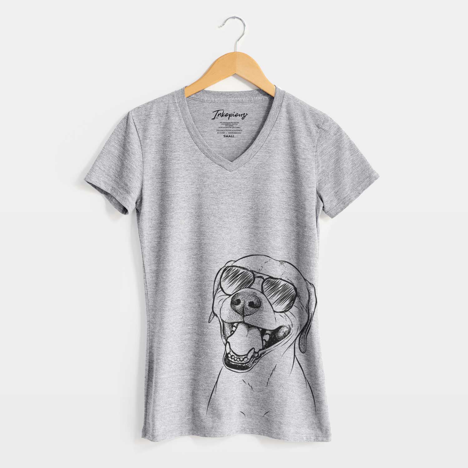 Aviator Beemer the Boxer Pitbull Terrier Mix - Women's V-neck Shirt