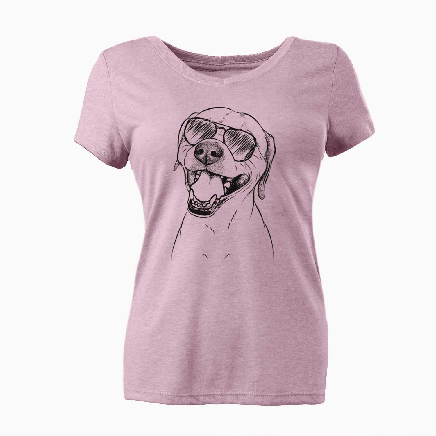 Aviator Beemer the Boxer Pitbull Terrier Mix - Women's V-neck Shirt