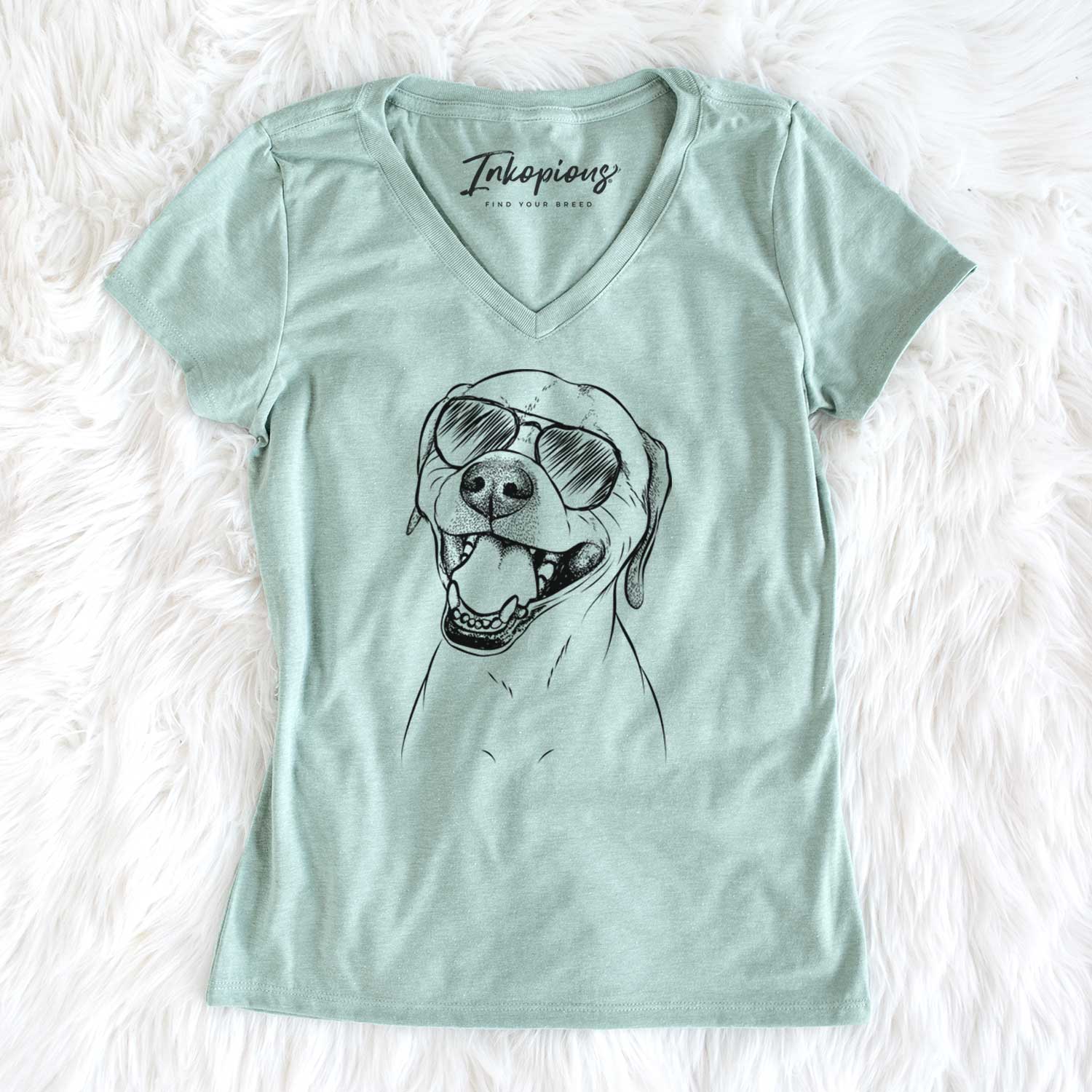 Aviator Beemer the Boxer Pitbull Terrier Mix - Women's V-neck Shirt