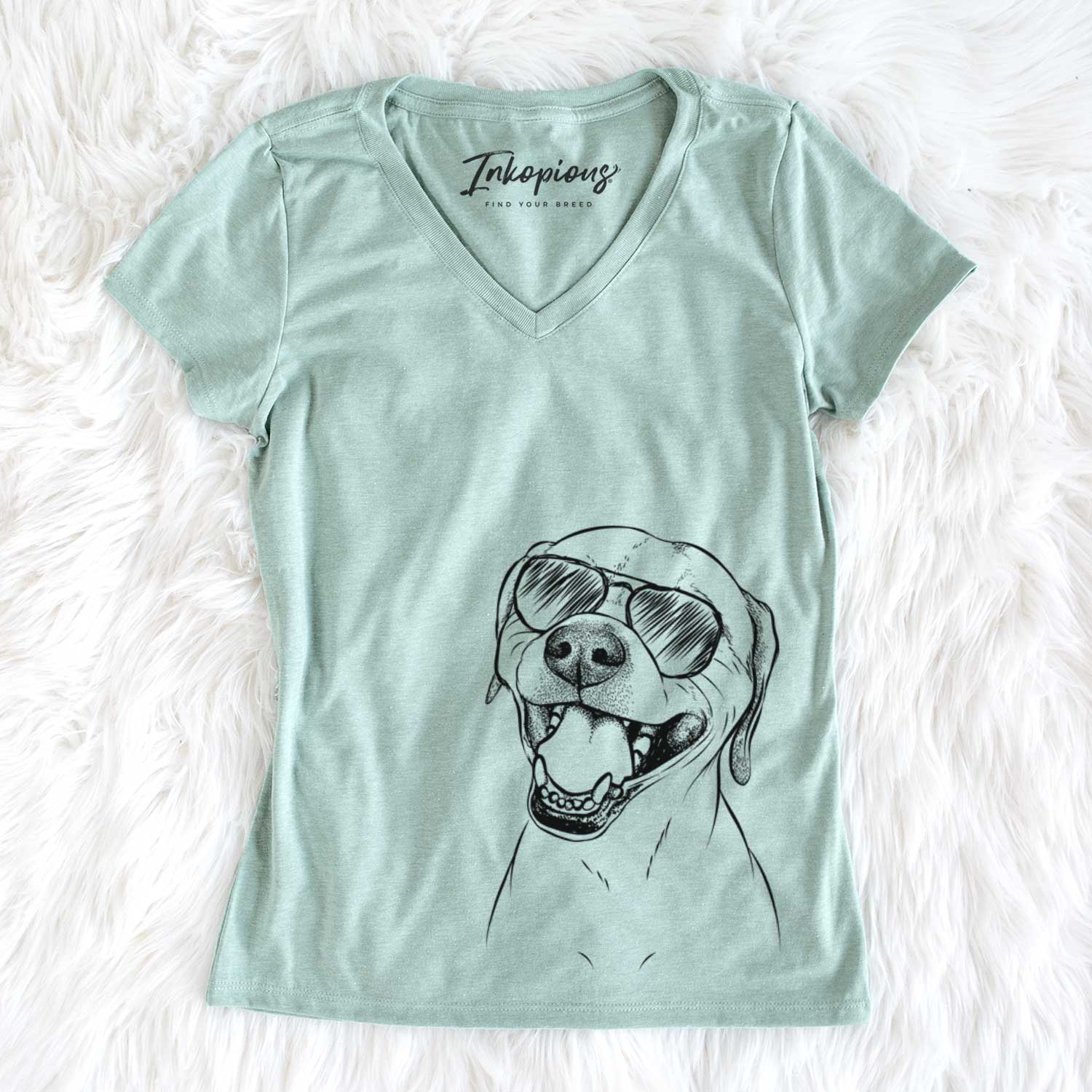 Aviator Beemer the Boxer Pitbull Terrier Mix - Women's V-neck Shirt