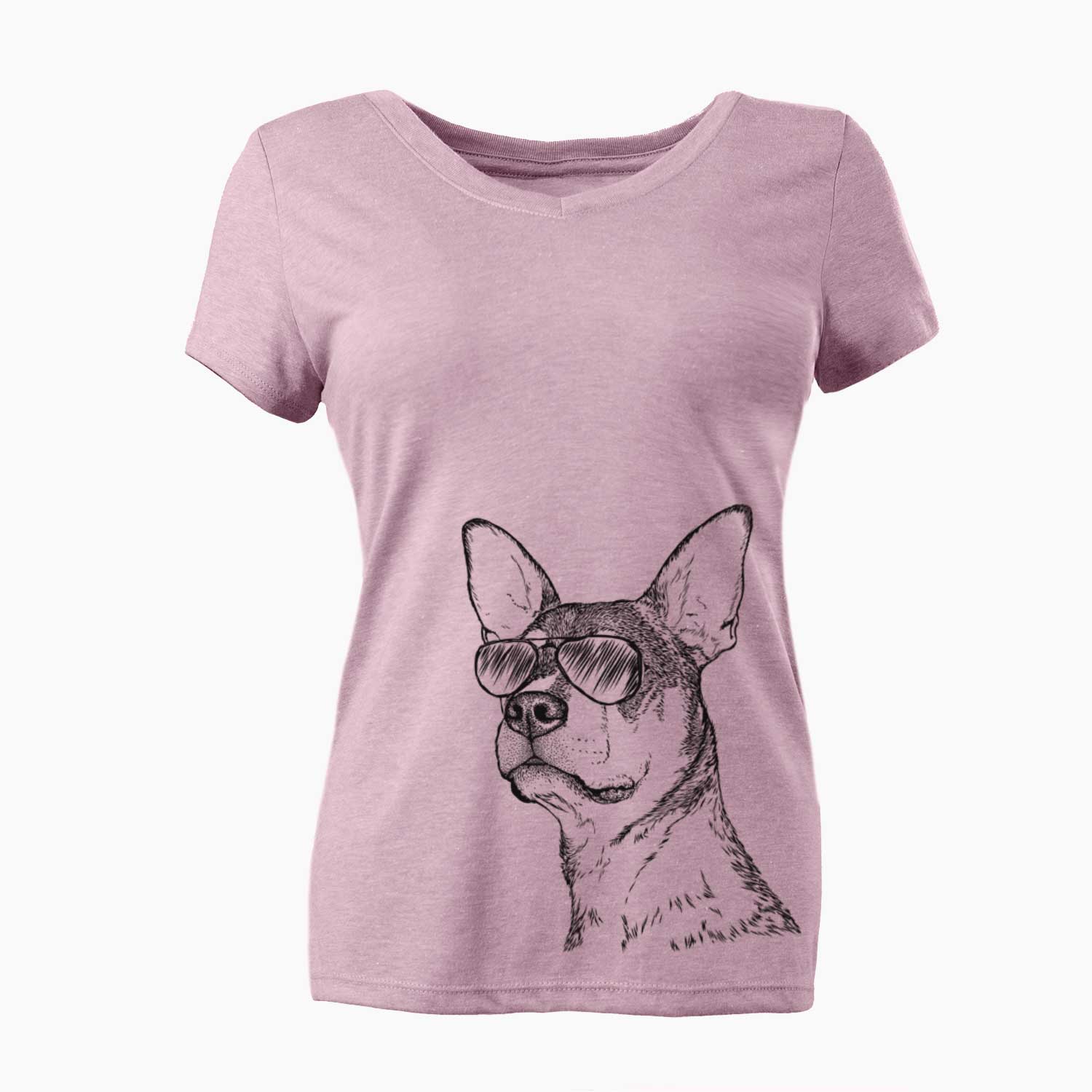 Aviator Bill the Heeler Mix - Women's V-neck Shirt