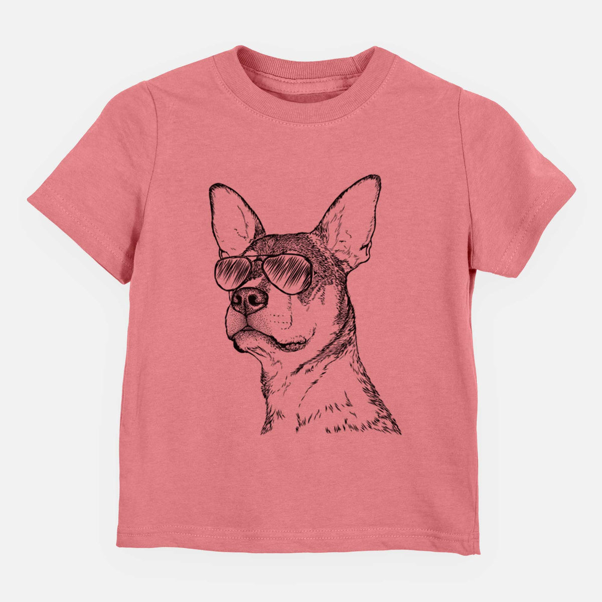 Aviator Bill the Heeler Mix - Kids/Youth/Toddler Shirt
