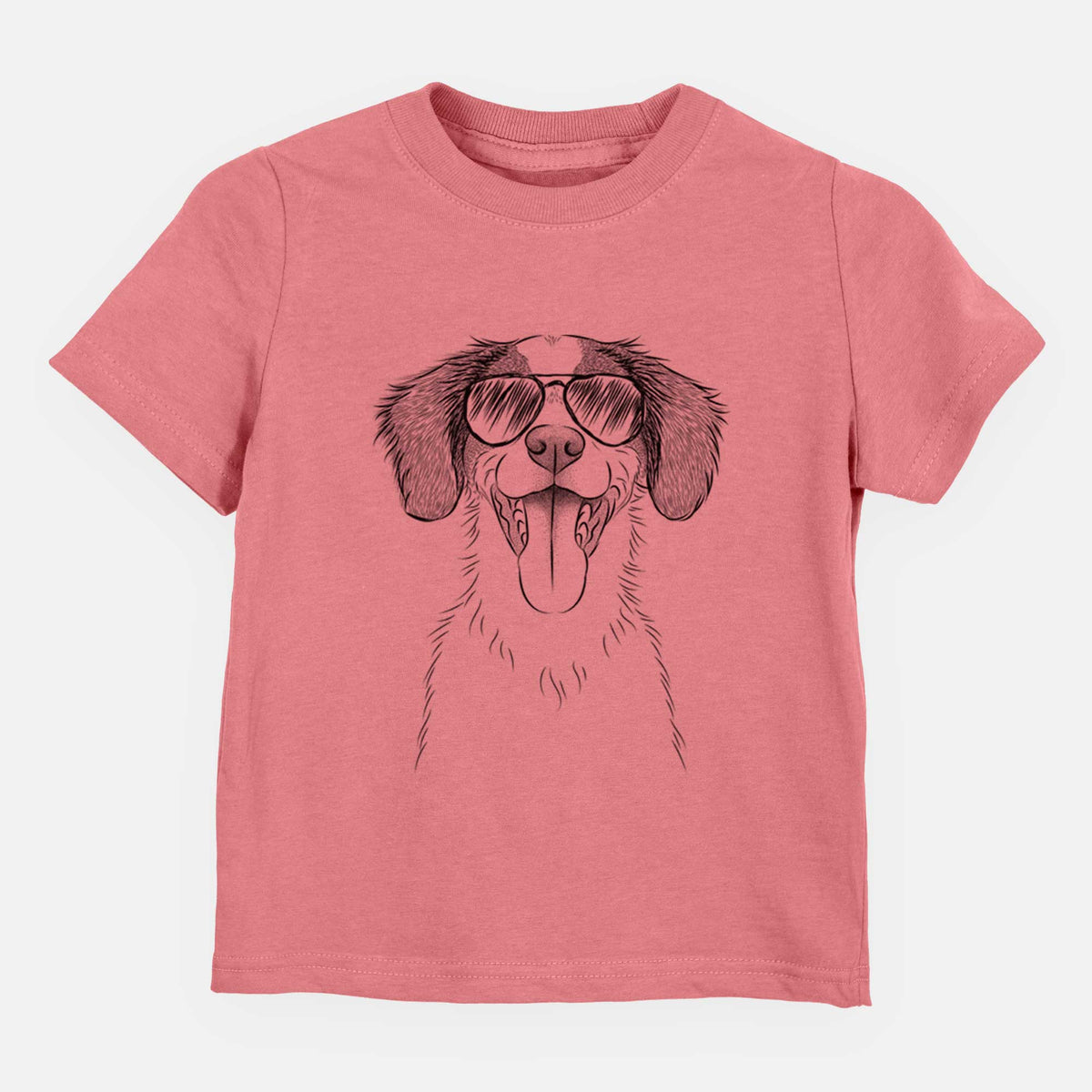 Aviator Birdie the Brittany - Kids/Youth/Toddler Shirt