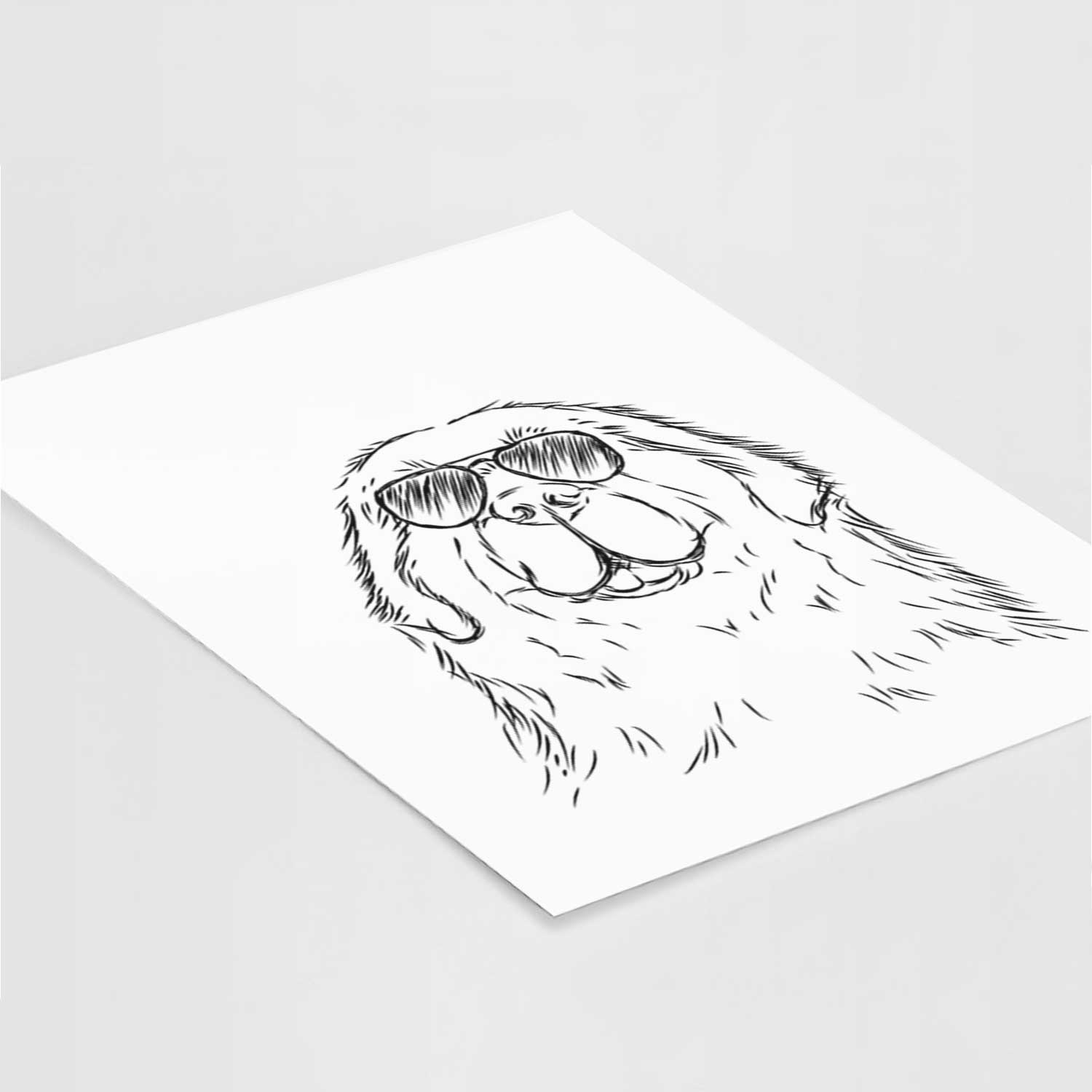 Boomer the Newfoundland Art Print
