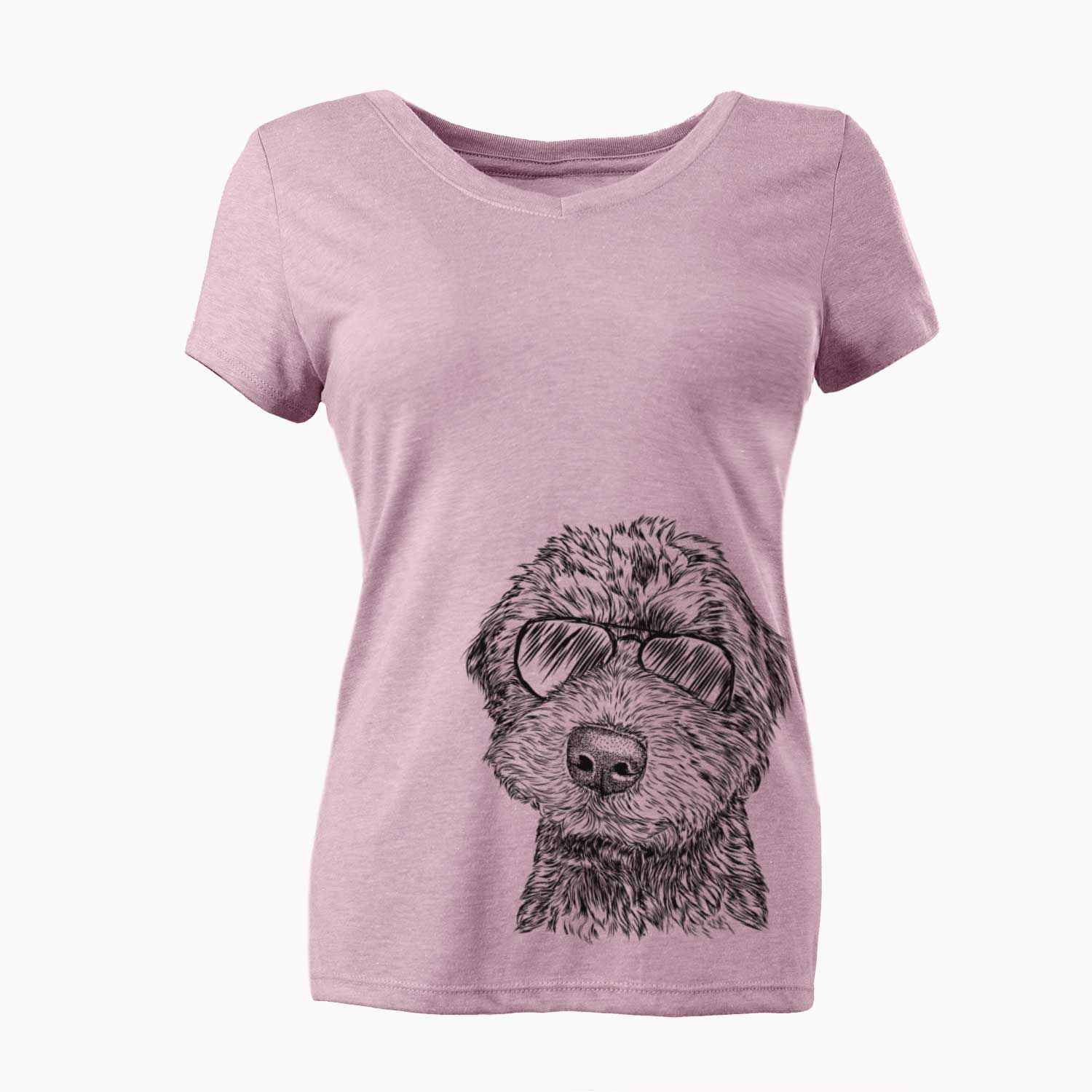 Aviator Bowser the Whoodle - Women's V-neck Shirt