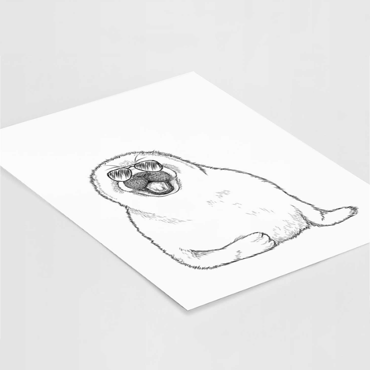 Bub the Harp Seal Art Print